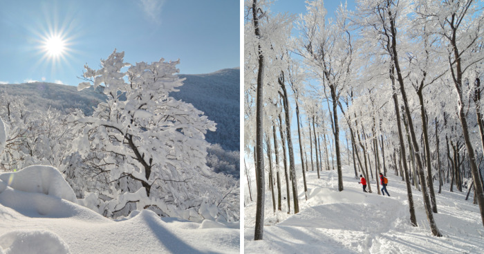 I Went Hiking In The Mountains Of Northern Croatia After Heavy Snowfall