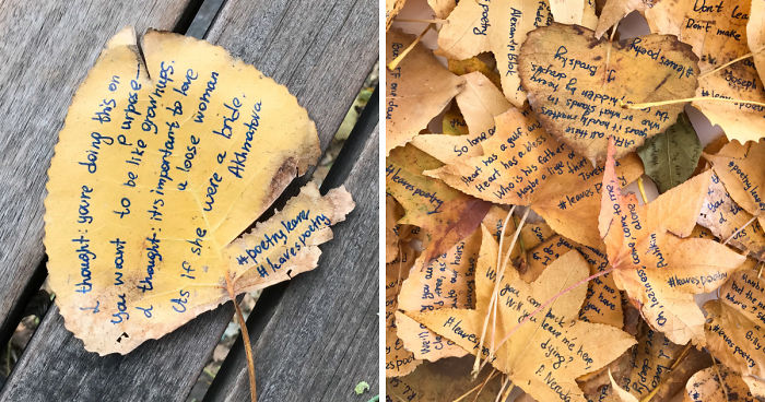 I Left 86 Leaves With Handwritten Poetry In NYC Parks For People To Find