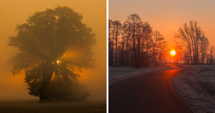 I Photographed Golden Autumn In Poland