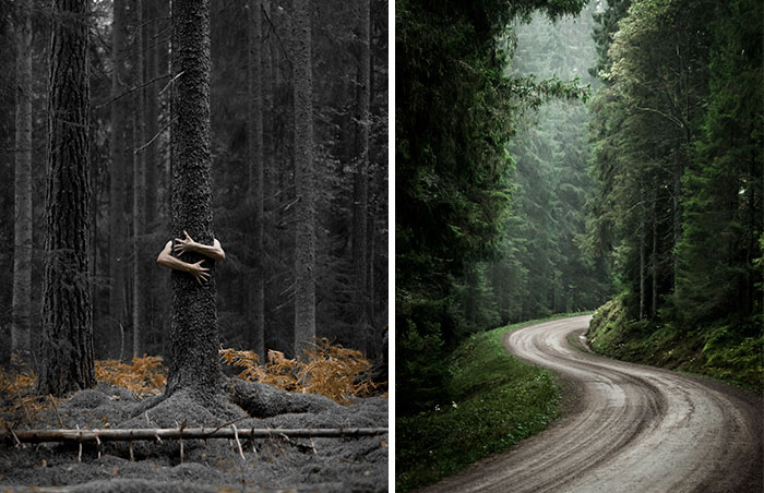 I Started Photographing Swedish Nature As A Therapy After I Injured My Back, Now It’s My Passion