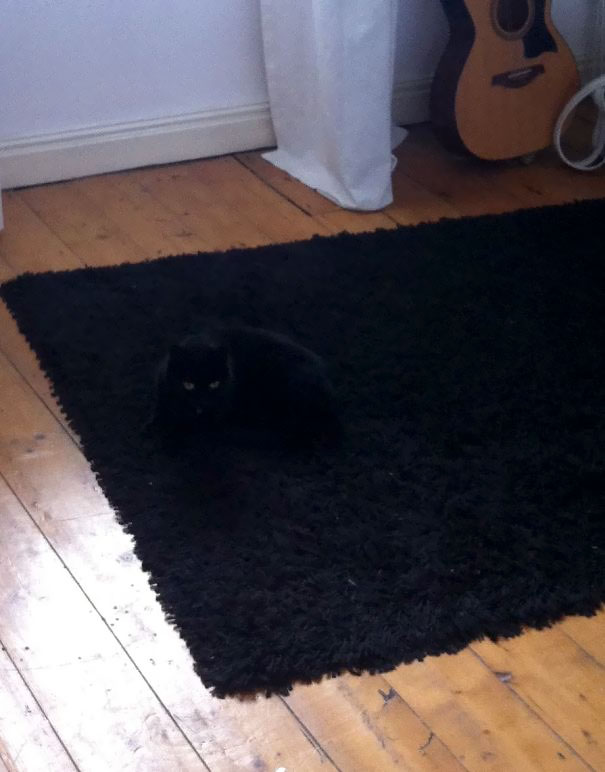 Rug Stealth