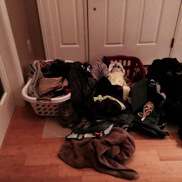 Let's Play Find-The-Cat In The Laundry