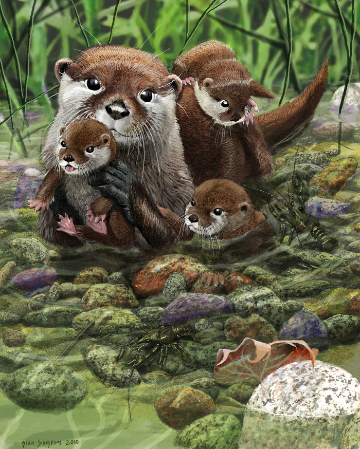 Realistic-animal-drawings-psithyrus-blair-sampson