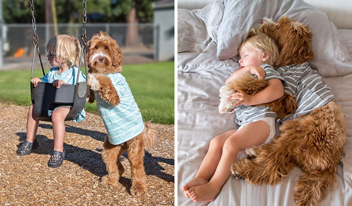 La conmovedora amistad entre un niño y su perro