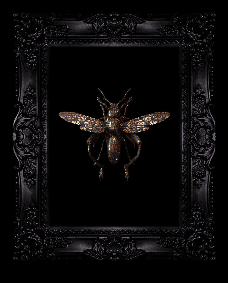 Engraved Entomology By Billelis