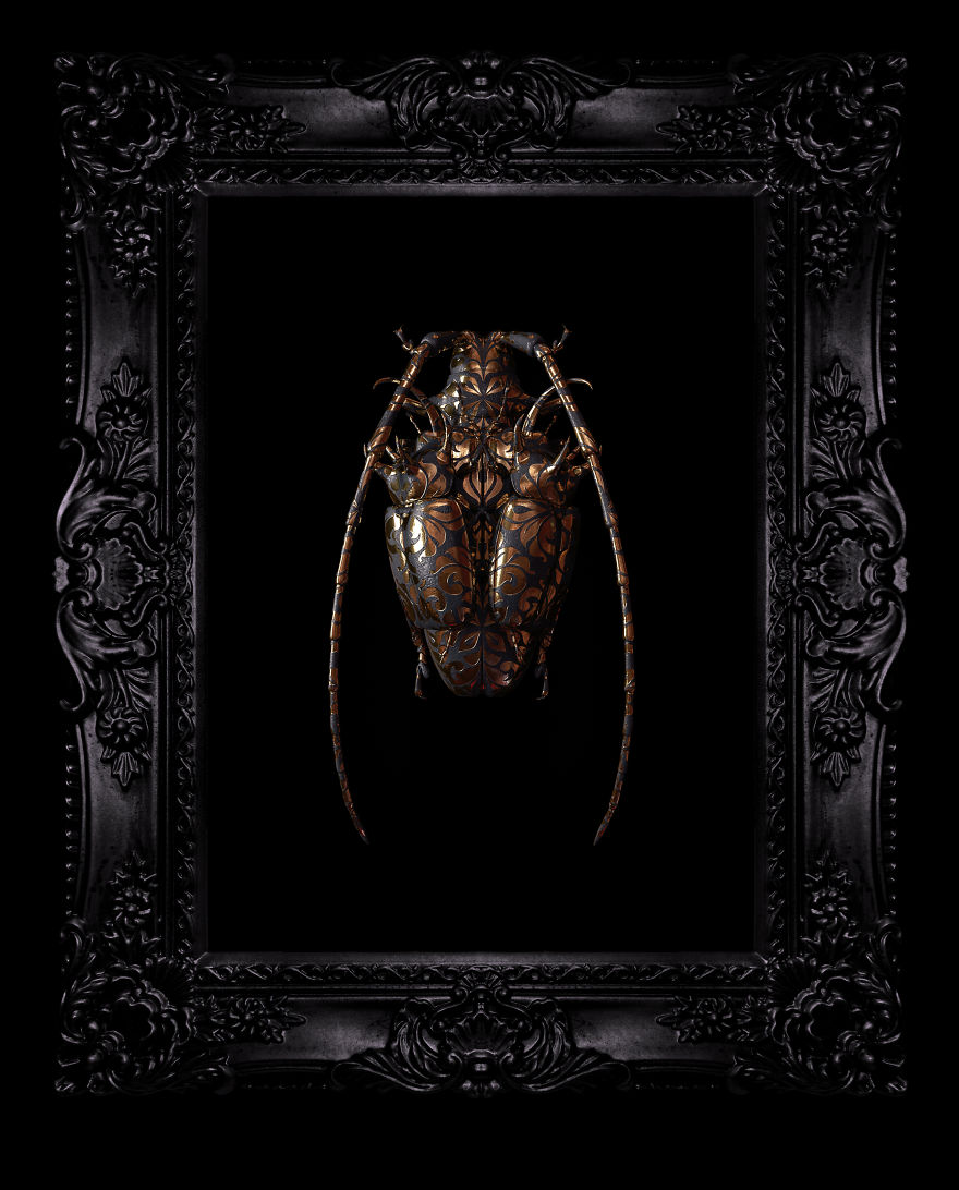 Engraved Entomology By Billelis