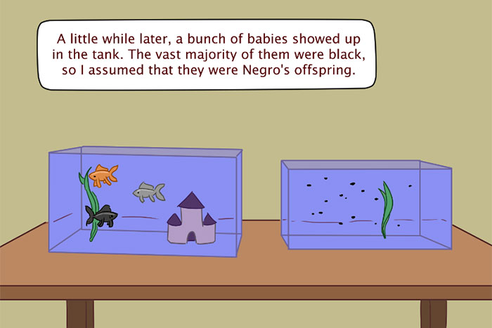 funny-accidental-racism-oc-1c funny-accidental-racism-oc-1c