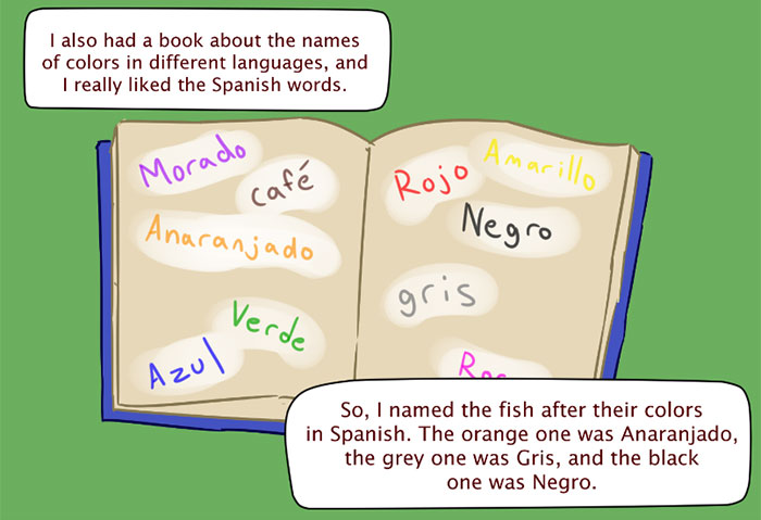 funny-accidental-racism-oc-2c funny-accidental-racism-oc-2c