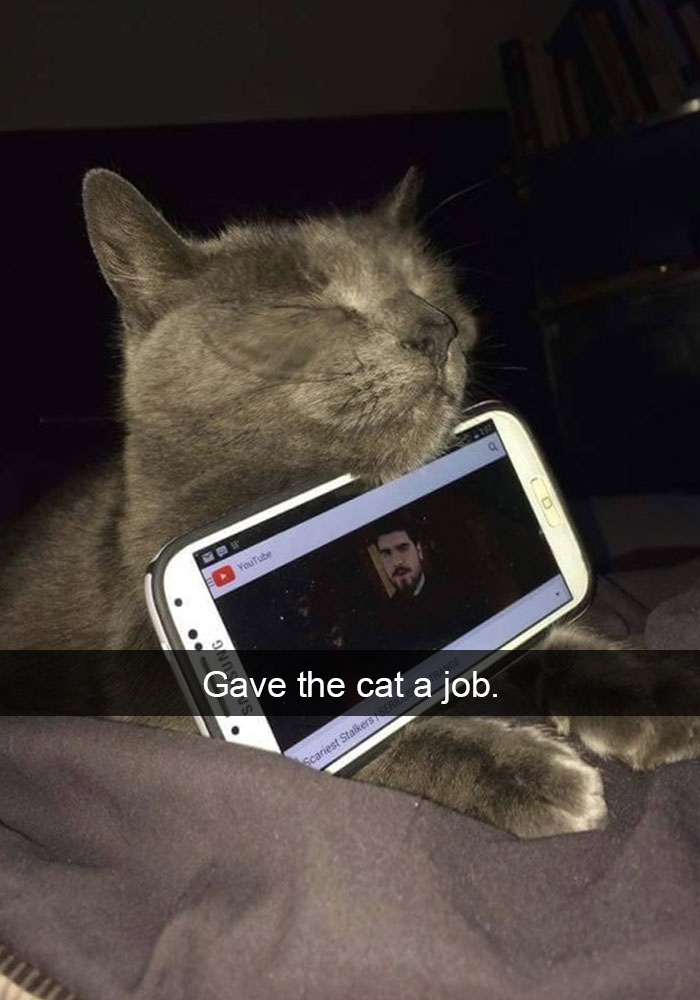 Cat Snap