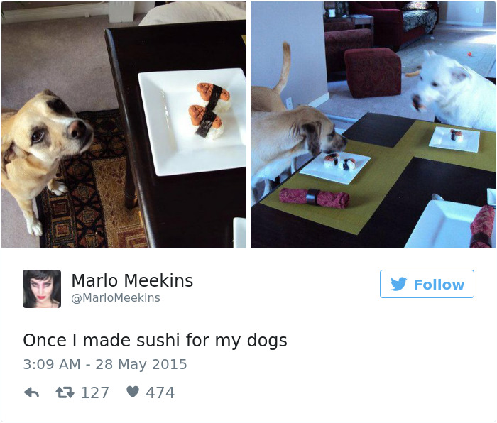 Dog Tweets