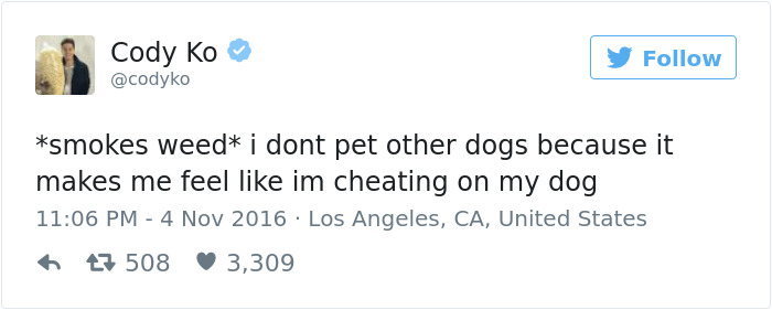 Dog Tweets