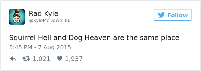 Dog Tweets