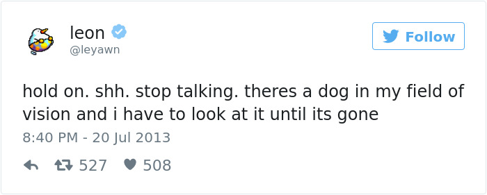 Dog Tweets