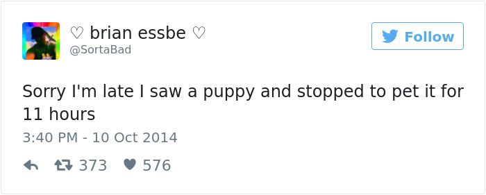 Dog Tweets