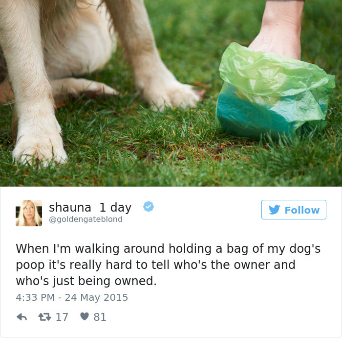 Dog Tweets