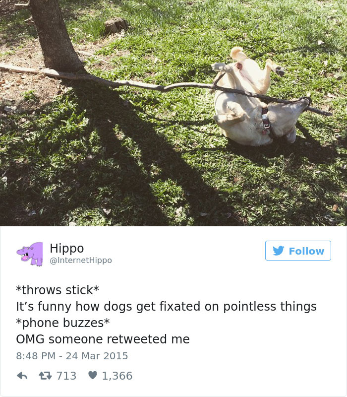 Dog Tweets