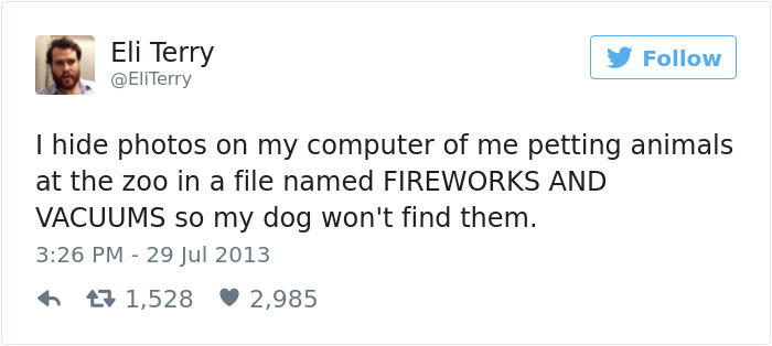 Dog Tweets