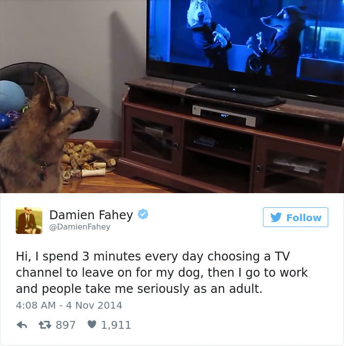 Dog Tweets