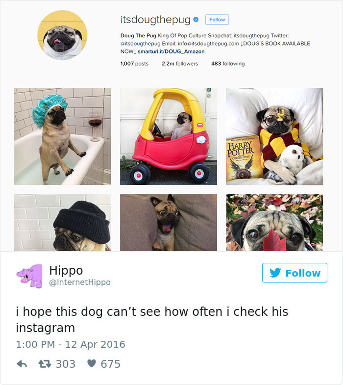 Dog Tweets