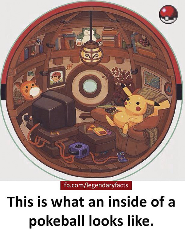 Pokeball Insides