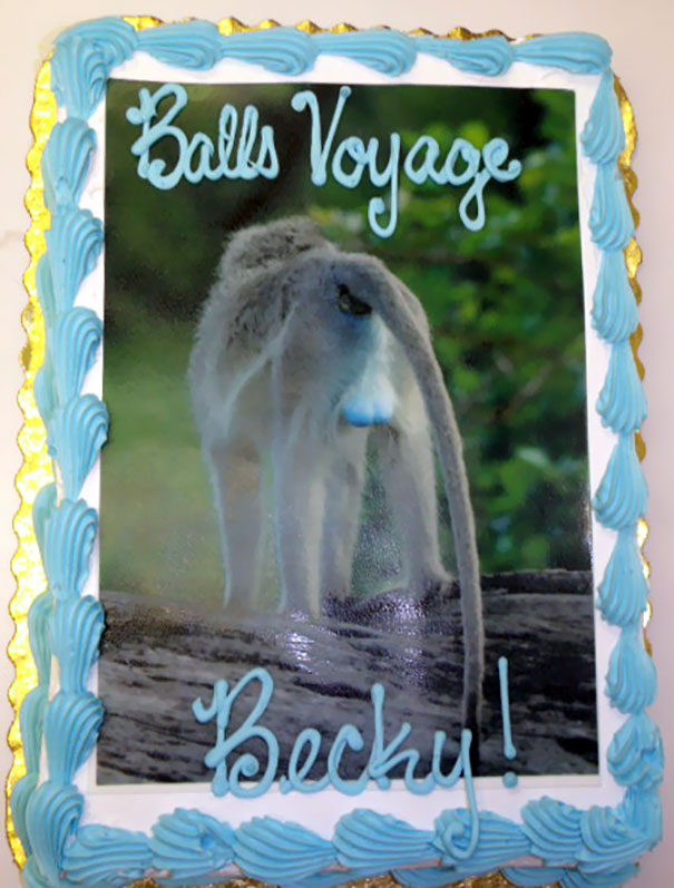 Farewell cake with humorous animal image and "Balls Voyage Becky" in blue icing.