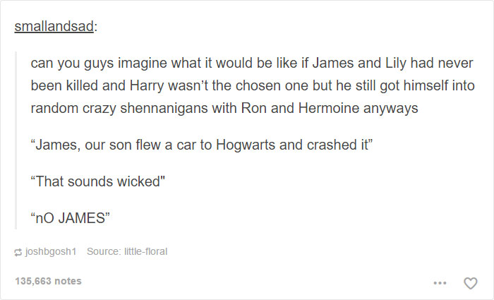 Harry Potter Tumblr