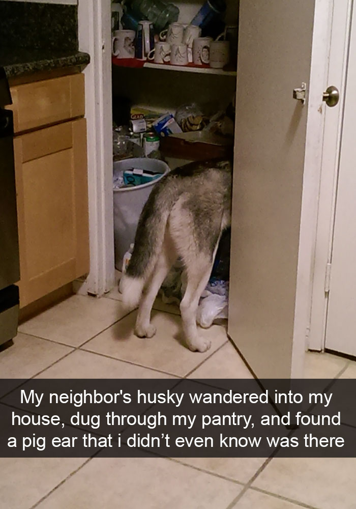 Husky Post