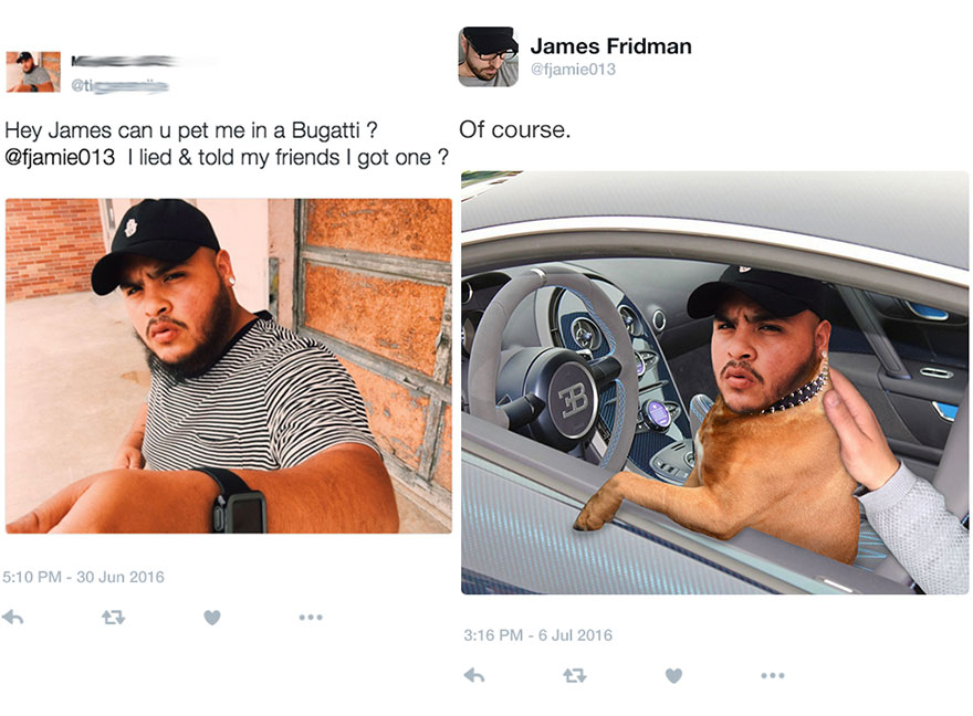 Man asks Photoshop troll to put him in Bugatti, troll edits photo literally showing a dog in the car with the man visible outside.