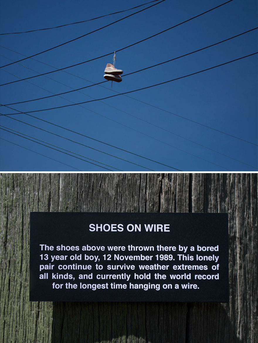 Another Plaque For The Museum Of Everywhere