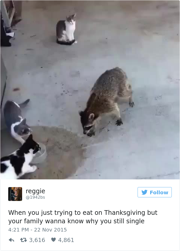 Funny Thanksgiving Tweets