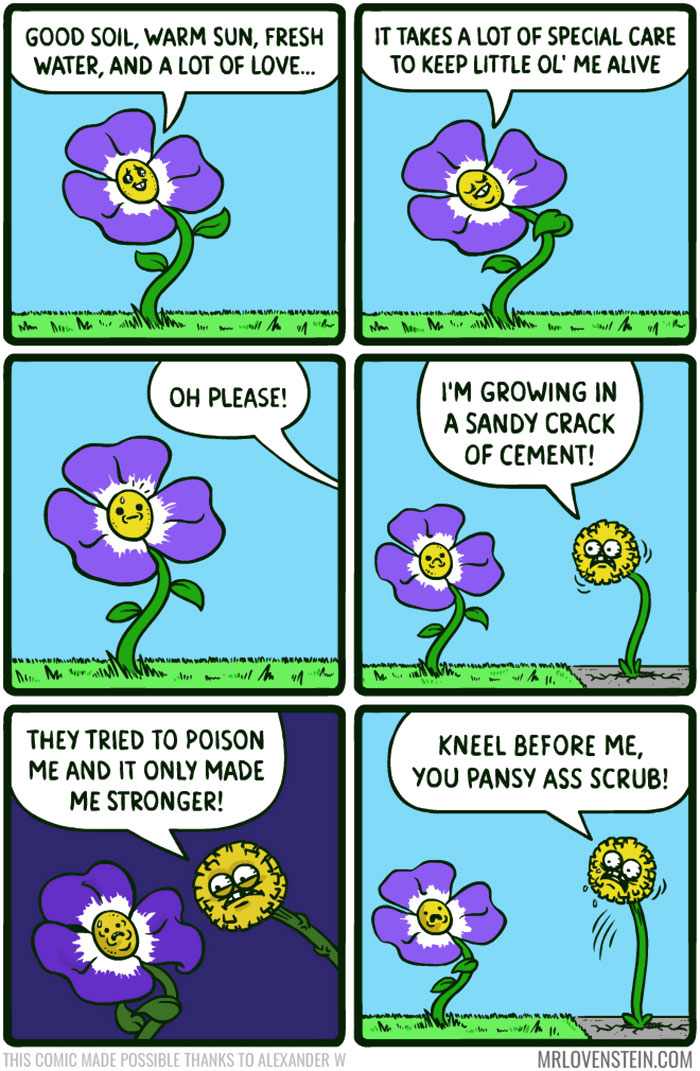Comic of flowers humorously discussing their resilience; a darker take with witty dialogue.