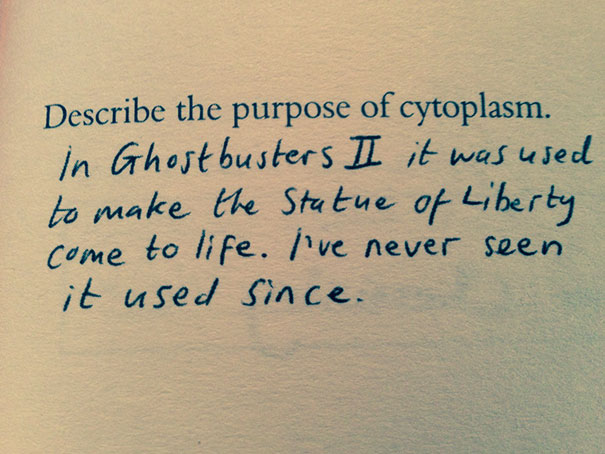 The Purpose Of Cytoplasm