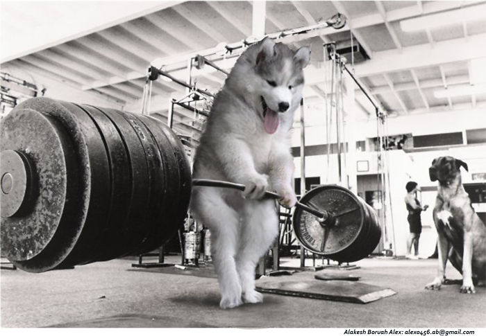 Light Weight Baby...