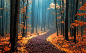 This Photographer’s House Burnt Down, Let’s Help Him Raise Funds And Recover