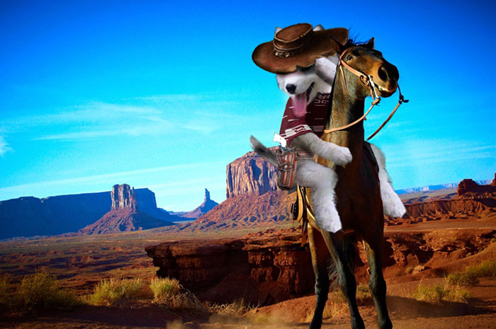 Get A'long Lil Dawgies