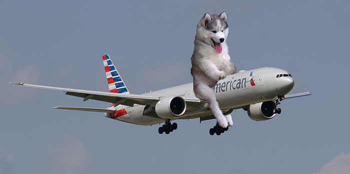 The Real Cause Of 9/11