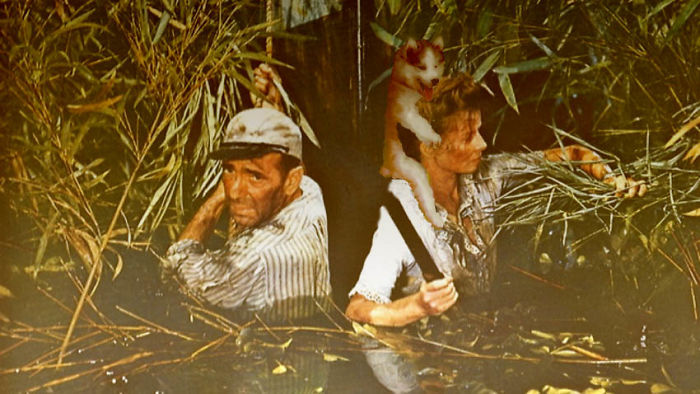 You Two Deal With The Leeches.