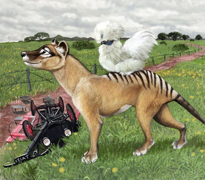 Realistic-animal-drawings-psithyrus-blair-sampson