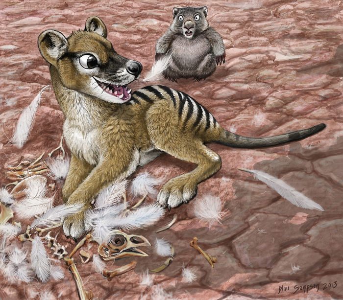 Realistic-animal-drawings-psithyrus-blair-sampson