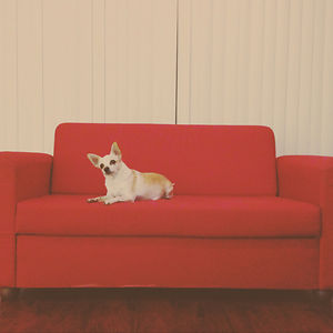 katiecummings64 avatar