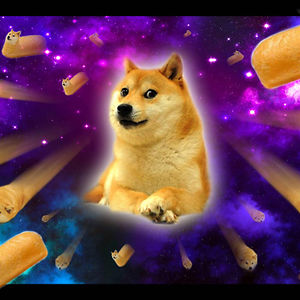 jelloqueen101 avatar