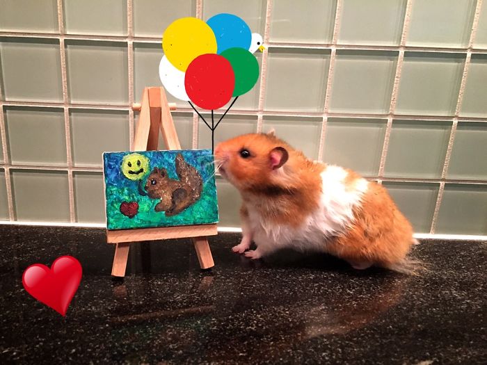 A Cute Mouse Story. I Mean The Hamster Who's Name Is Misses Watson! I Hope It Will Light Up Your Day The Same Way It Does Light Up Mine Every Day!!! ❤️