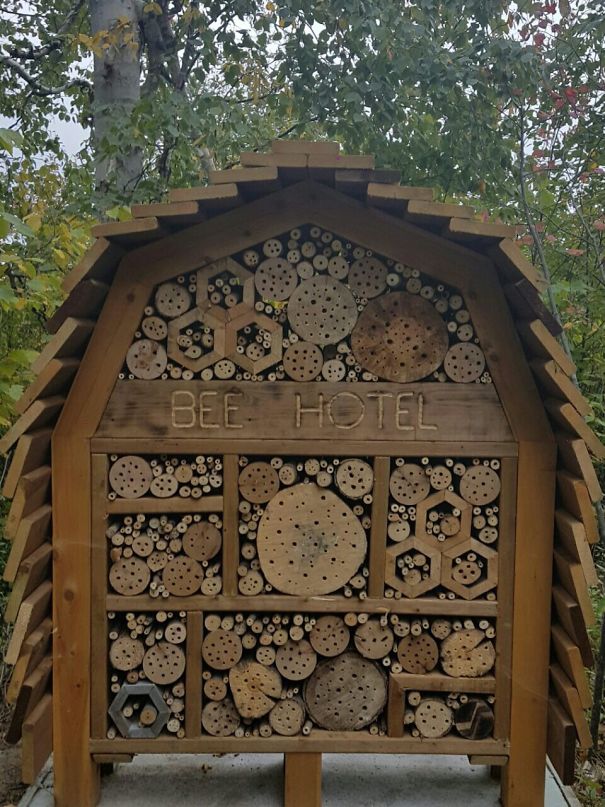 Luckily For Us, It Was Not Busy That Day