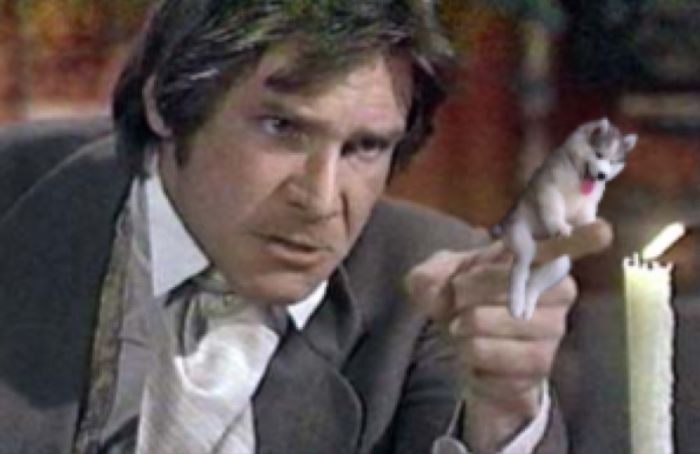 Next Time I'm Getting A Proper Dog...