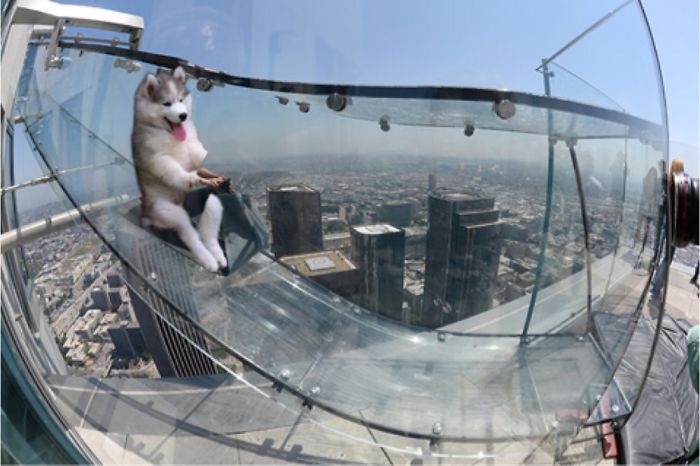 "look Ma, I Got Hands!"