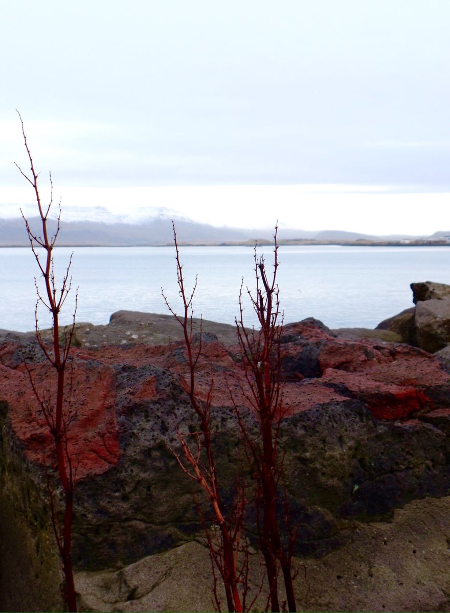 You Don't Need An Expensive Dslr To Capture The Beauty Of Iceland. You Don't Need An Expensive Dslr To Capture The Beauty Of Iceland.