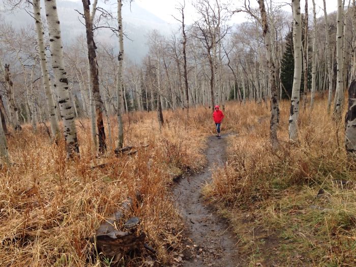 Big Cotten Wood Canyon