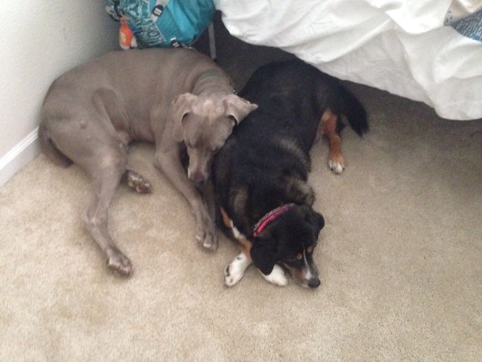 This Is Where I Caught Them Hiding...