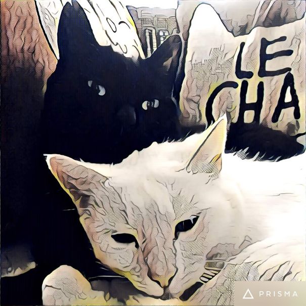 My Black & White Pair 😊