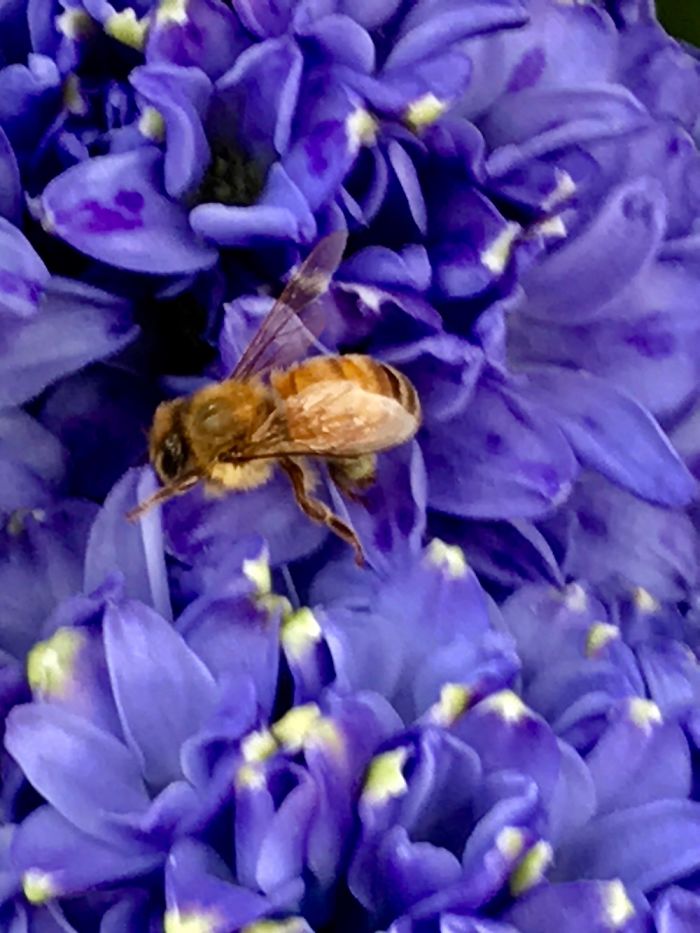 Why My Iphone 7 Plus Is Better Than A Dlsr